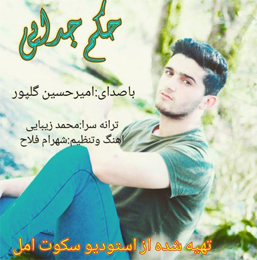 امیرحسین گلپور حکم جدایی